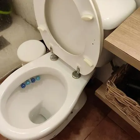 Rahal Apartament *